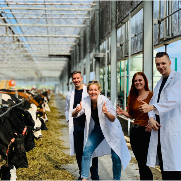 UX-onderzoek Lely